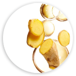 Komplex Ginger Oleoresin